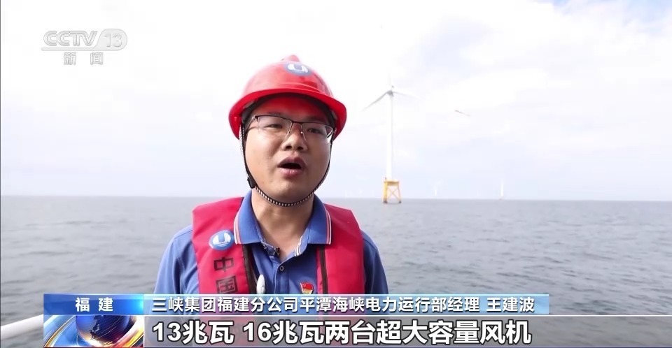宝运菜官方网
